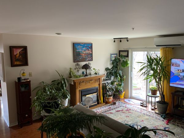 La maison de Shaun