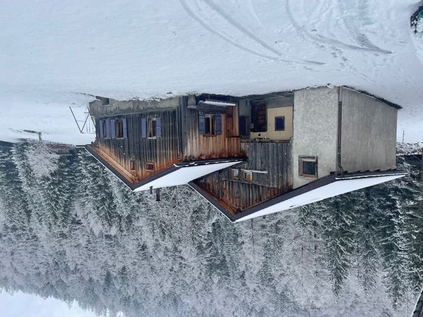 A cosy wooden nest