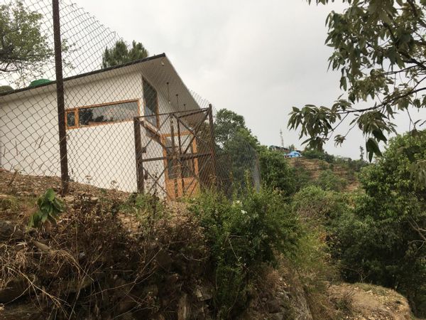 La maison de Lalit Asrani