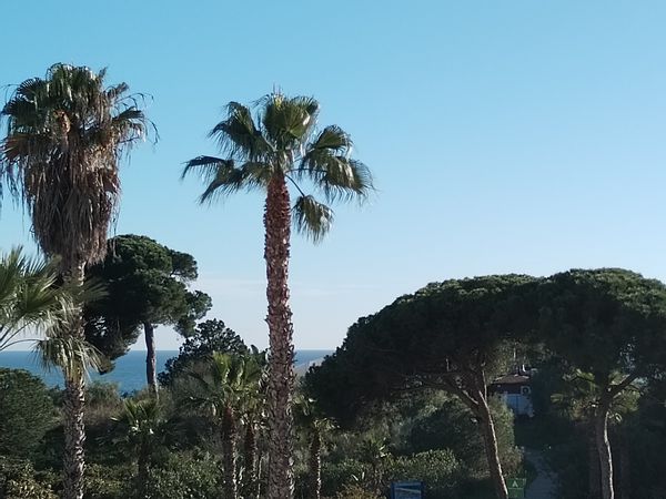 La maison de daniel