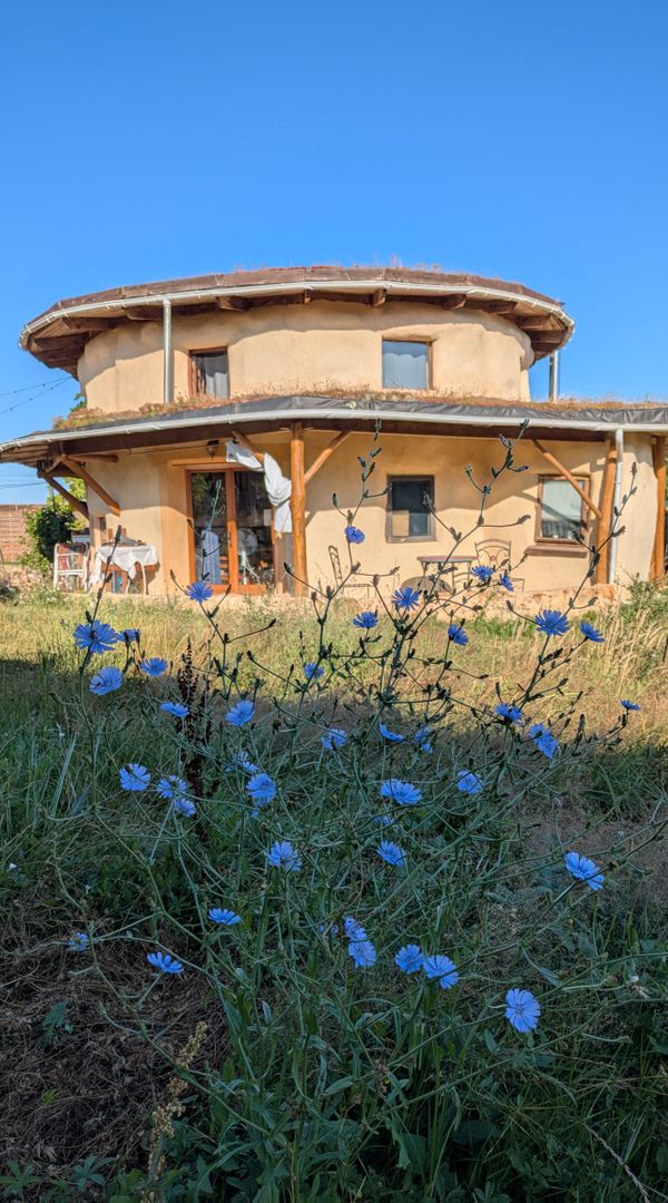 vacances insolites dans une maison ronde et lumineuse en matériaux naturels