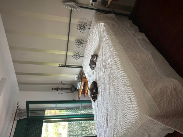 La maison de Rosa Maria