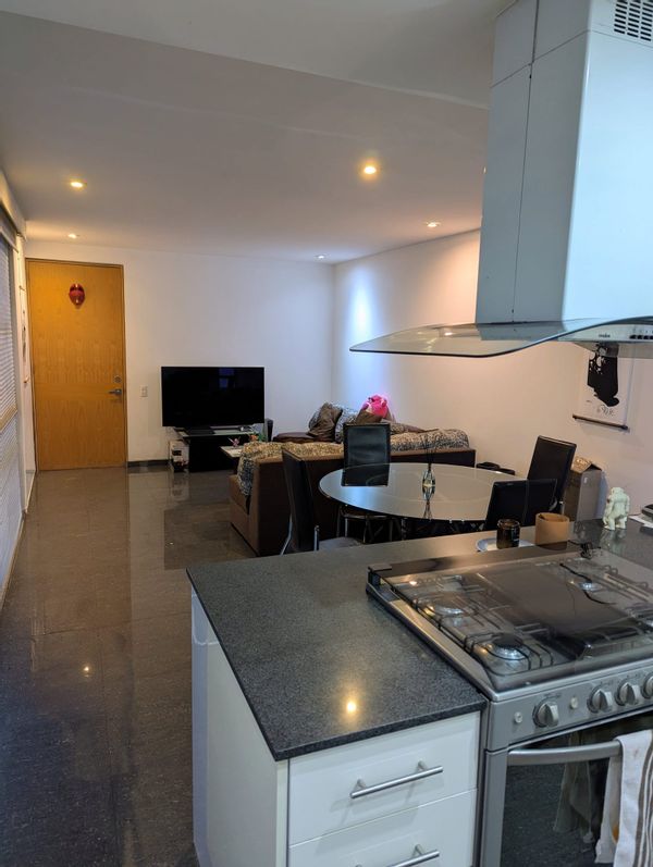 Brand-new, quiet flat in prime Roma Norte. Steps from the coolest bars/restaurants. 24/7 security.