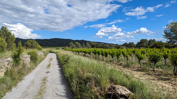 Maison de village au milieu des vignes dans le Minervois entre Carcassonne et Narbonne
