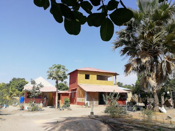 Kaz Sénégalaise