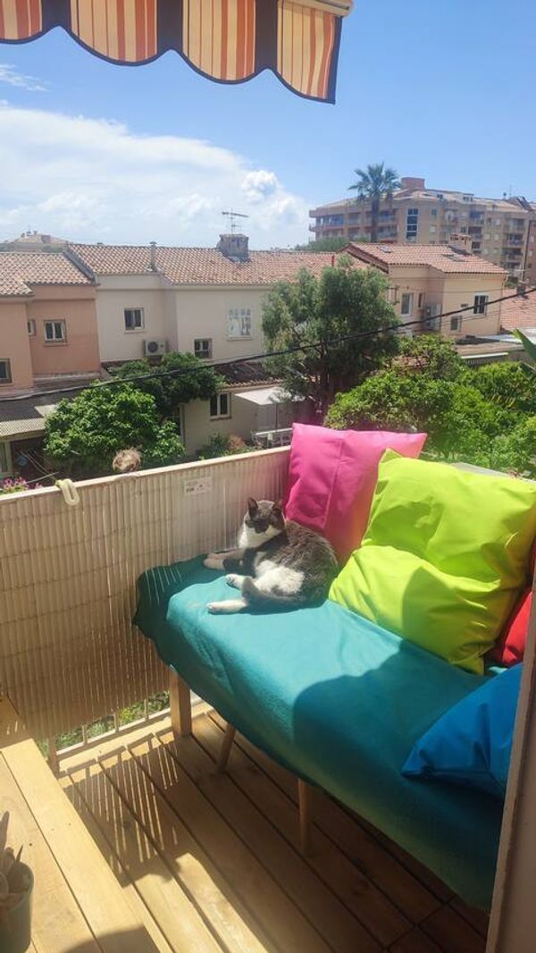 C'est notre "nid" il nous ressemble. Il est très lumineux, plein d'affection avec nos deux chats