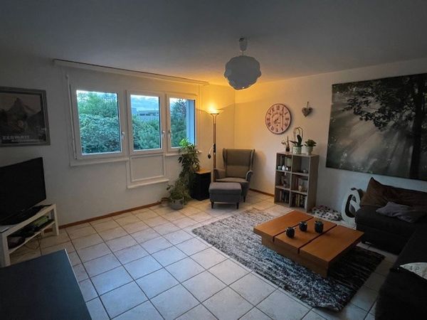 Charmant appartement  dans un village proche du lac et des montagnes