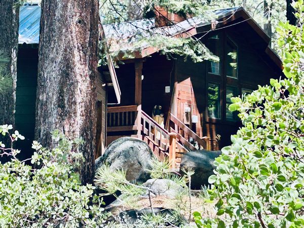 Our small updated cabin is set back off the road in a quiet forested area.