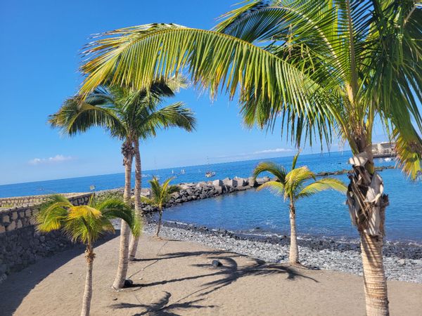 Les Canaries