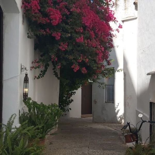 La maison de José y Charo