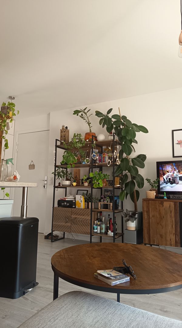 Appartement de 2 chambres  à Bagneux ville limitrophe de Paris avec accès transports
