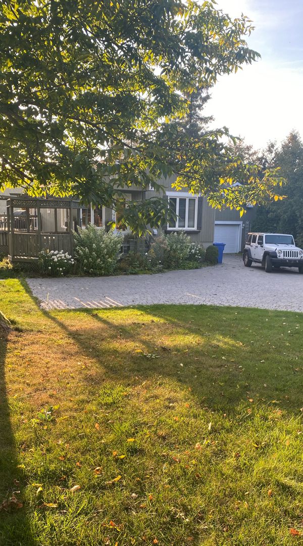 Le paradis de Nancy
