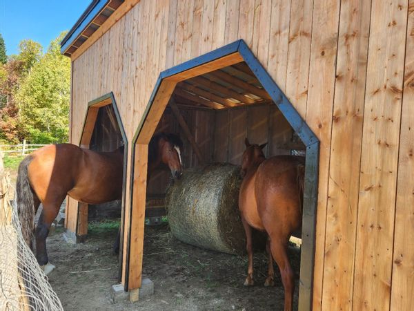 chalet le coyote