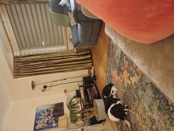 La maison de Lily