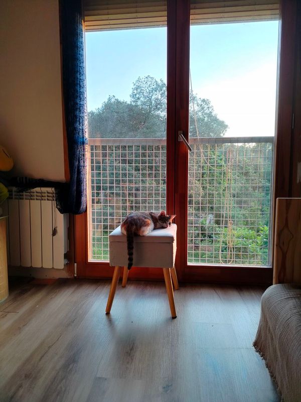 La maison de Ekaterina