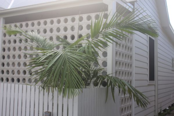 La maison de Tahni