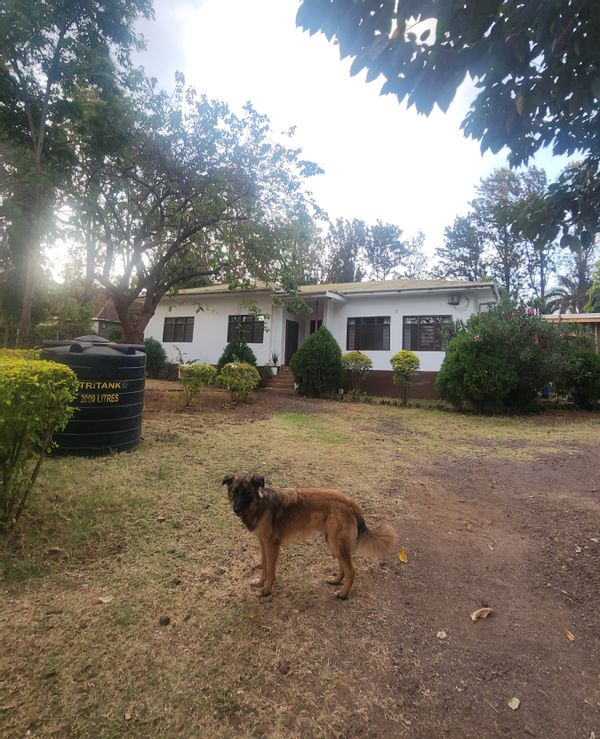 La maison de Cliff