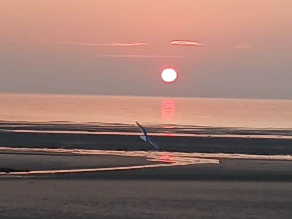 Joli plain pied à Stella-Plage