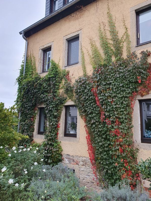La maison de Mary