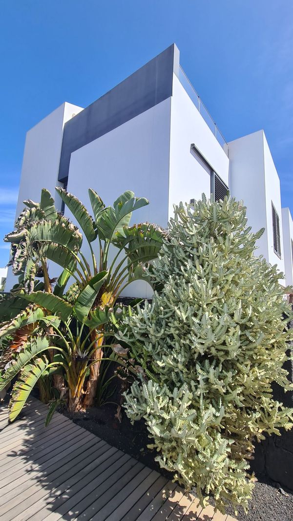 La maison de Sergi