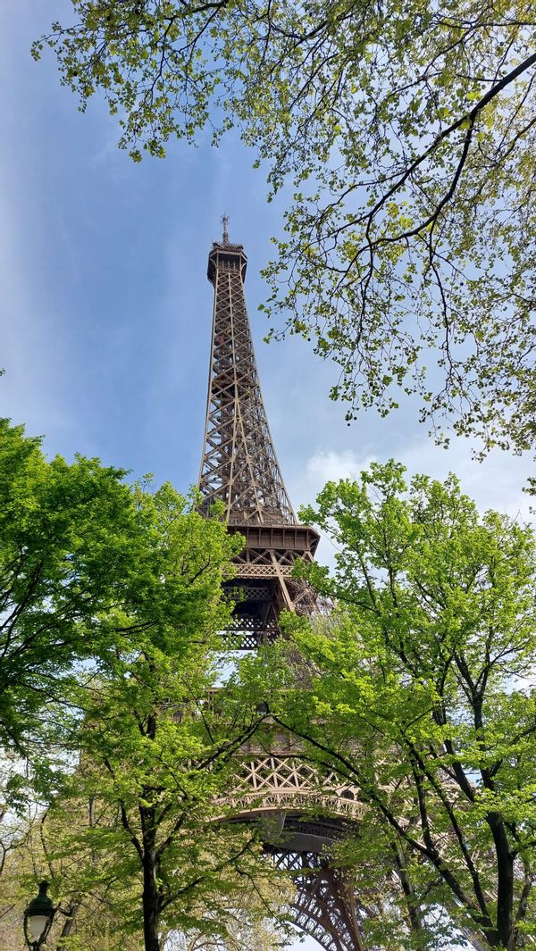 L'appartement De Plein Cœur!