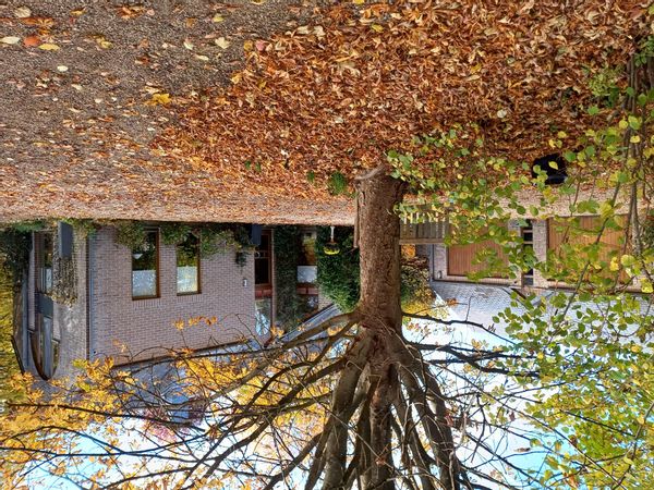 La maison de Hervé, villa contemporaine située dans un parc paysager. 7 nuits minimum.