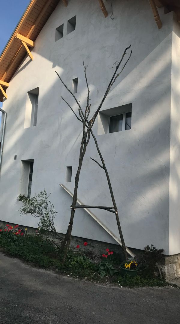 La maison de Marjorie