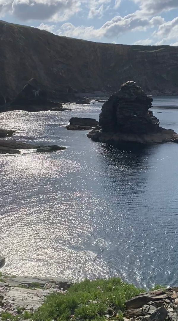 La Camarine