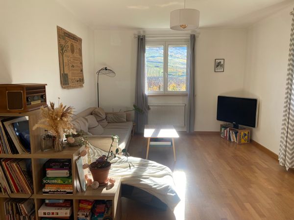Maison familiale au cœur du vignoble alsacien et au pied des Vosges - proche Colmar