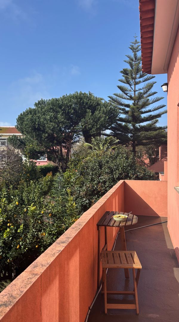 La maison de António