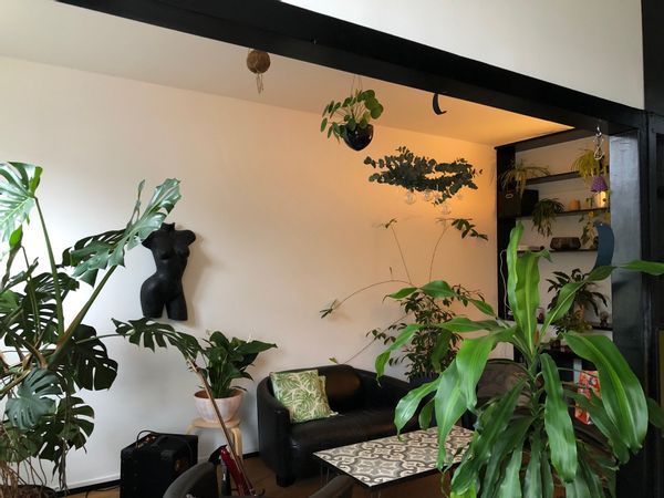 Chambre privée dans bel appartement au coeur du Vieux Carouge