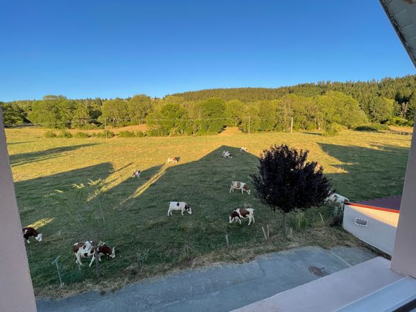Appartement vue sur  montagne et pâturages du haut doubs à 5 min du centre ville