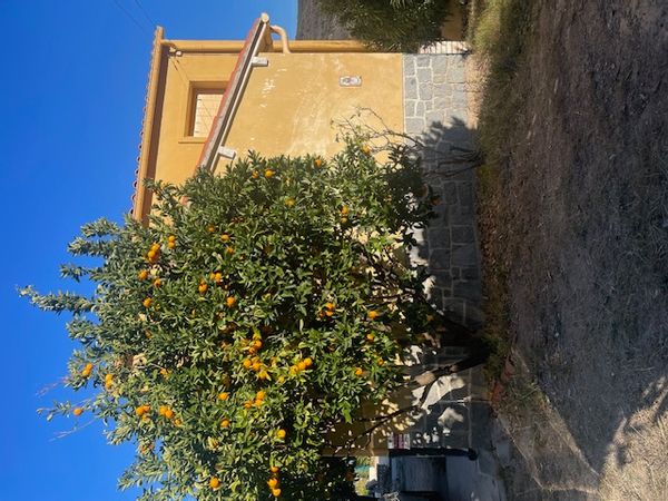 Villa Catalane, entre mer et montagnes, proche de l'Espagne , Barcelone, Argeles/s/mer, Collioure...