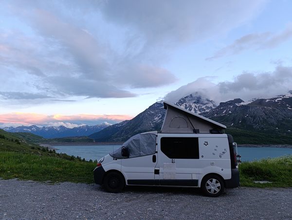 La vipère (elle aime être dans la nature et se faufiler partout)