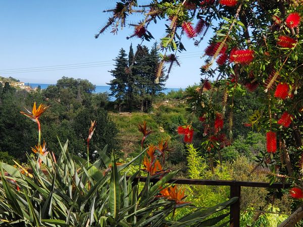Chambre au calme sur les collines de Menton
