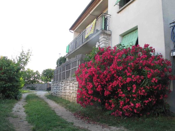 Appartement avec jardin au coeur de la Provence, vieille ville et collines tout à pieds!