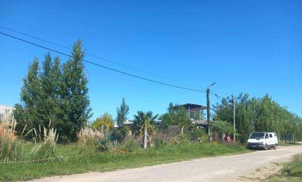 La maison de Alita