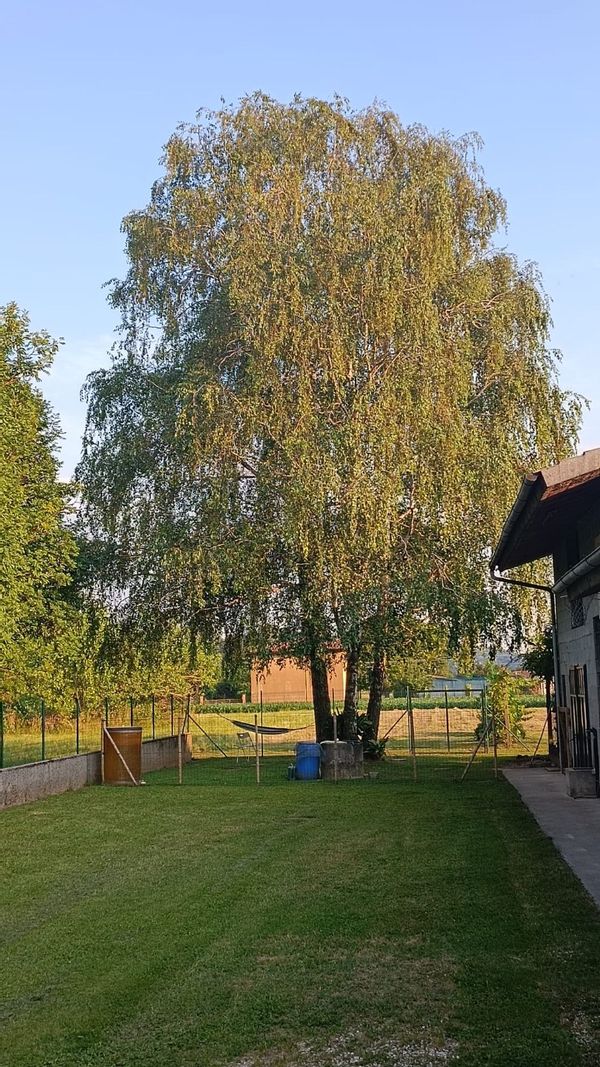 La maison de Nicola