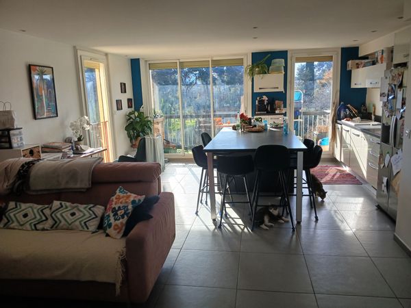 appartement central parc
