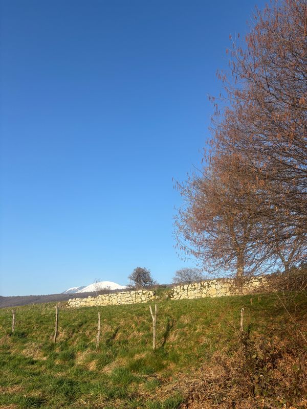 La maison de Marina