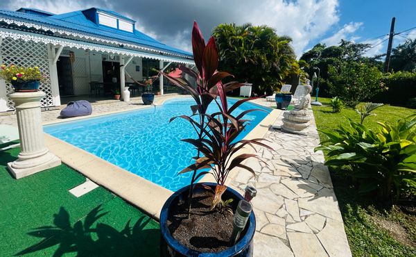 Venez séjourner à la villa Kylokaque au pied de la forêt tropicale de la basse terre.