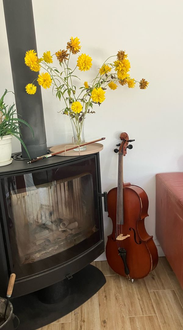 La maison de Aleksandra