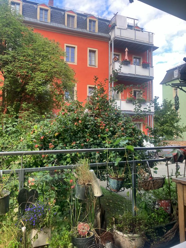 La maison de Nico