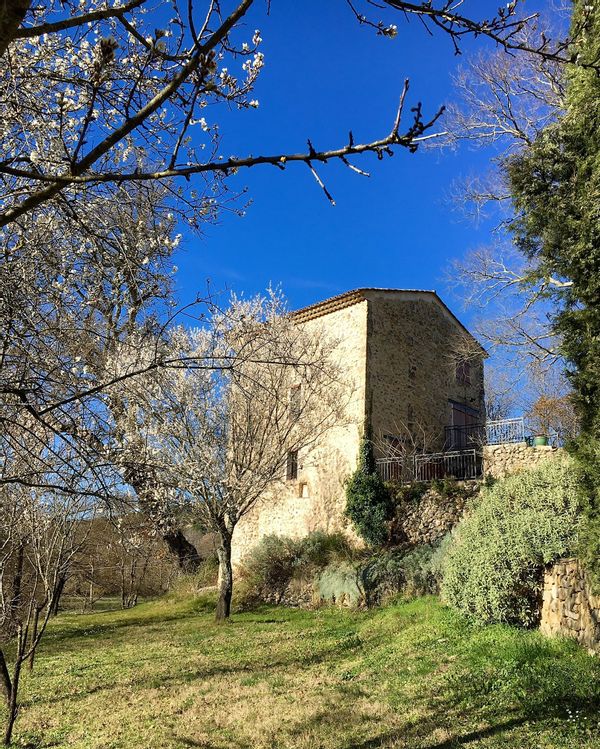 La maison de miruna