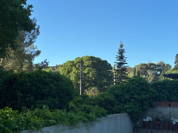 Sur les collines nîmoises