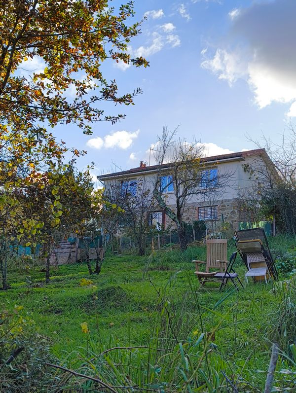 Ti Geot, la maison des plantes...