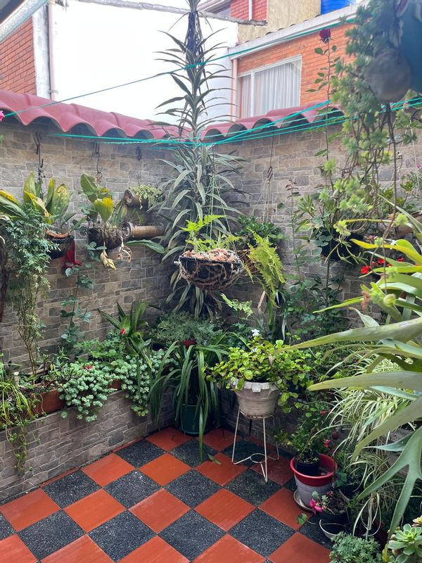 Casita Madrigal Encanto ❤️
