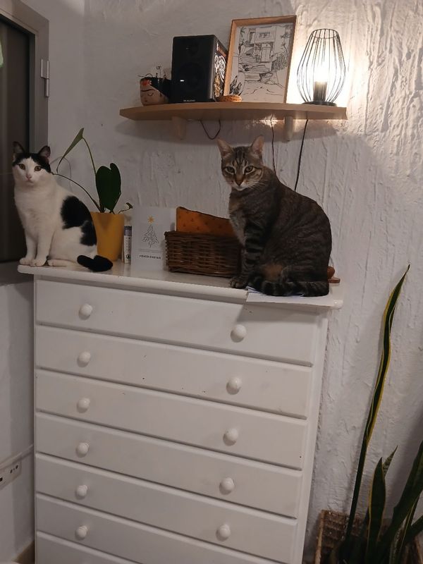 La maison de sara