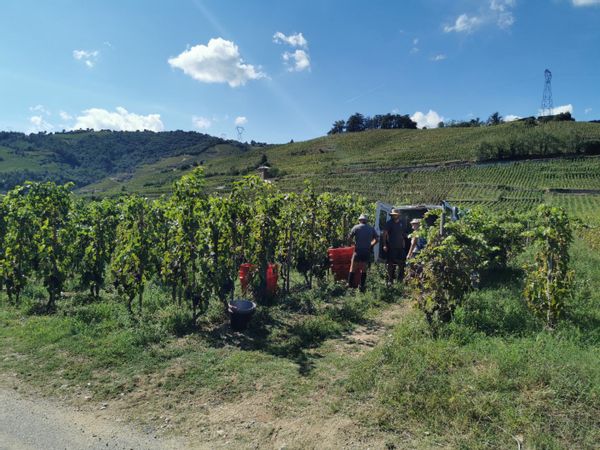 Chambre privée aux pieds des vignes