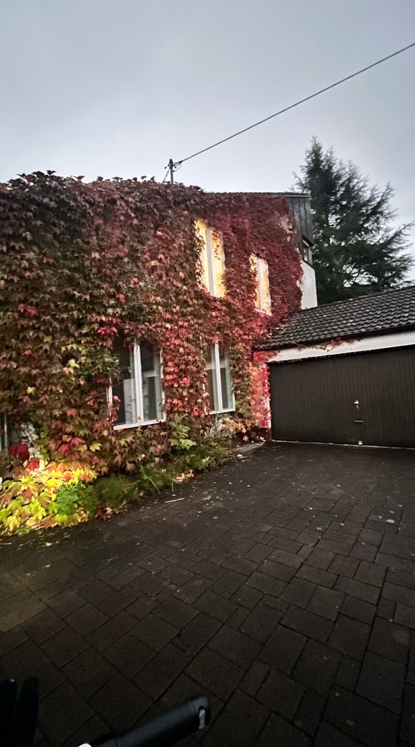 La maison de Mahimashree
